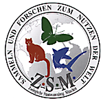 ZSM Logo