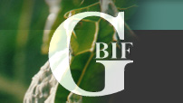 GBIF international