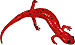 salamander
