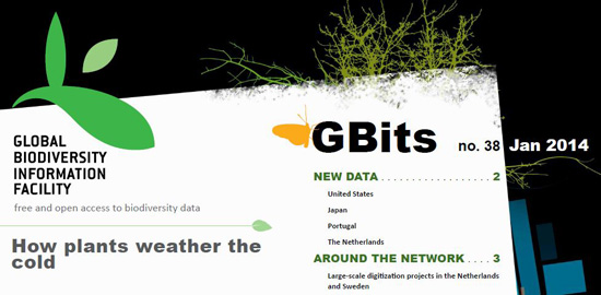GBits38 Titel